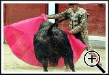 Imagen de Romero. Diario de C�diz